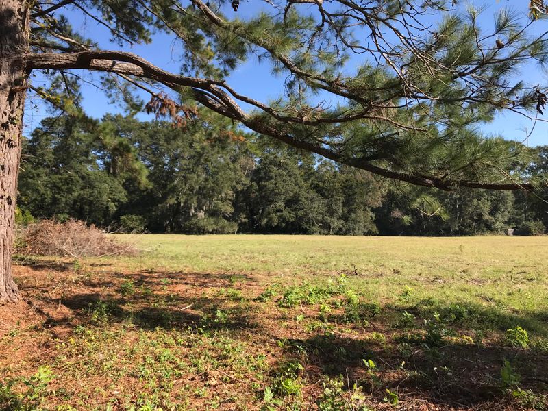 0 Wild Plum Rd, Johns Island, SC 29455