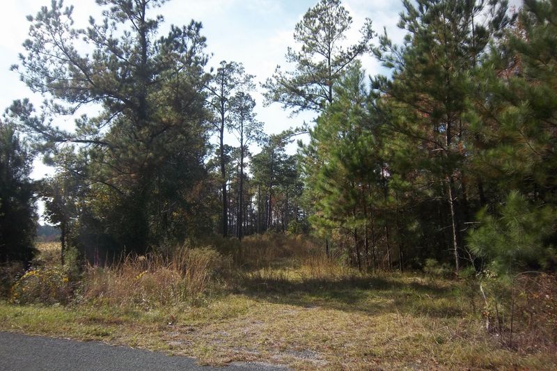 1 Salem Rd, Dorchester, SC 29437