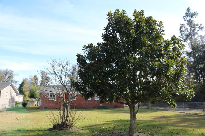 125 M L King Blvd, Saint Stephen, SC 29479