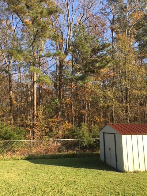 120 Red Cedar Dr, Goose Creek, SC 29445