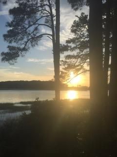 89 Belmeade Hall Rd, Johns Island, SC 29455