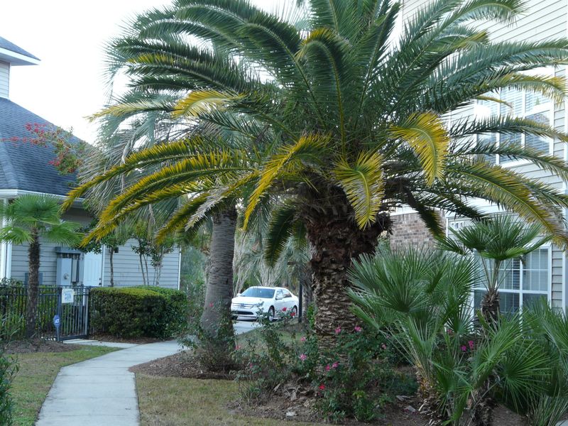 188 Midland Pw #315, Summerville, SC 29485