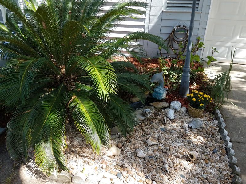 6 Driftwood Ln, Isle Of Palms, SC 29451