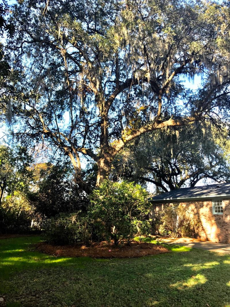 1369 Clearbrook St, North Charleston, SC 29405