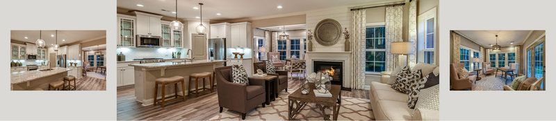3797 Tupelo Branch Row, Mount Pleasant, SC 29429