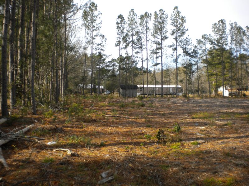 107 St Germain Dr #Tr-C, Summerville, SC 29483