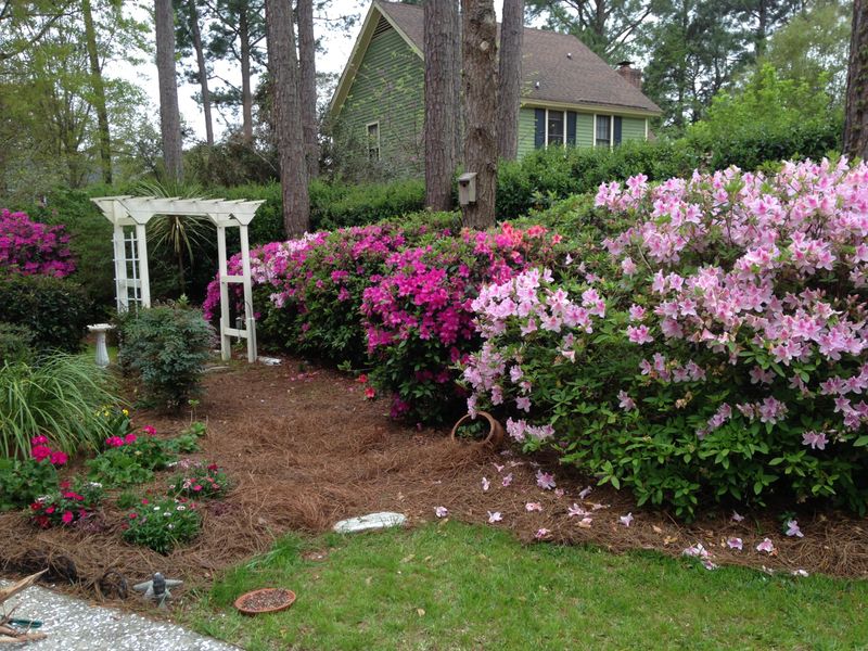 1125 Lanterns Rest, Mount Pleasant, SC 29464