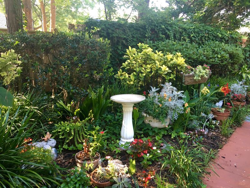 1125 Lanterns Rest, Mount Pleasant, SC 29464