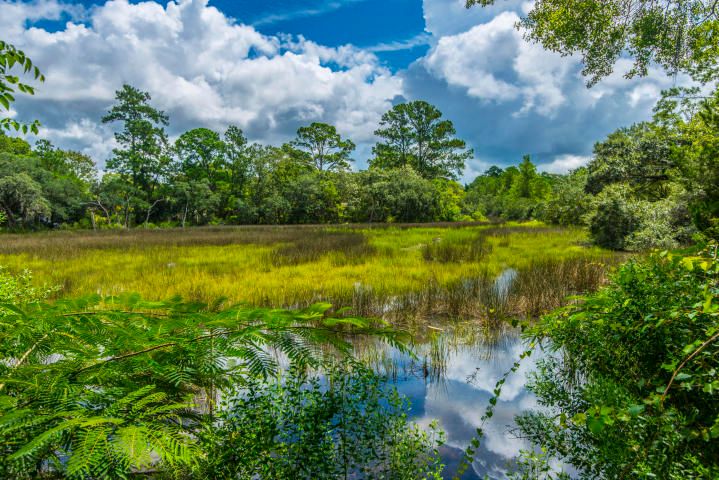 502 Parkdale Dr, Charleston, SC 29414