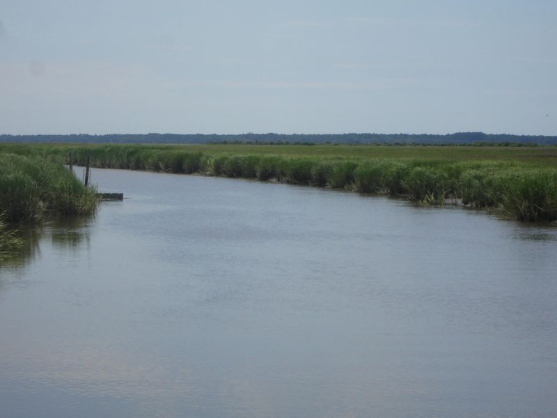 7727 White Point Rd, Meggett, SC 29449