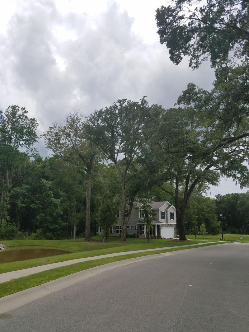 3868 Hanoverian Dr, Mount Pleasant, SC 29466