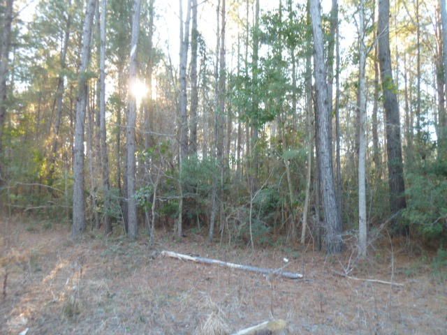 0 Rosa Green Rd, Awendaw, SC 29429