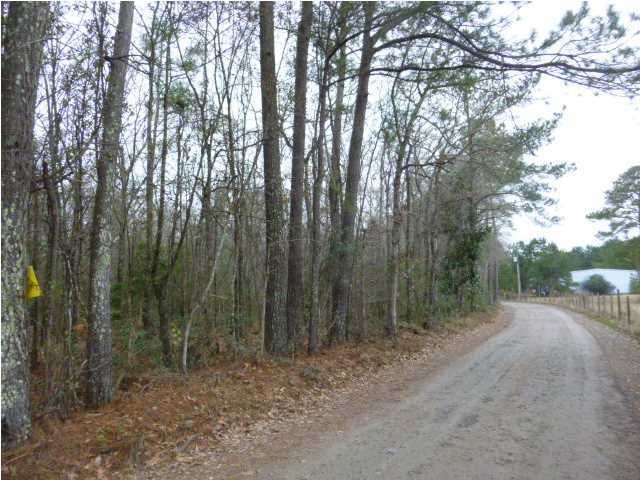 0 Roumillats Ln, Moncks Corner, SC 29461
