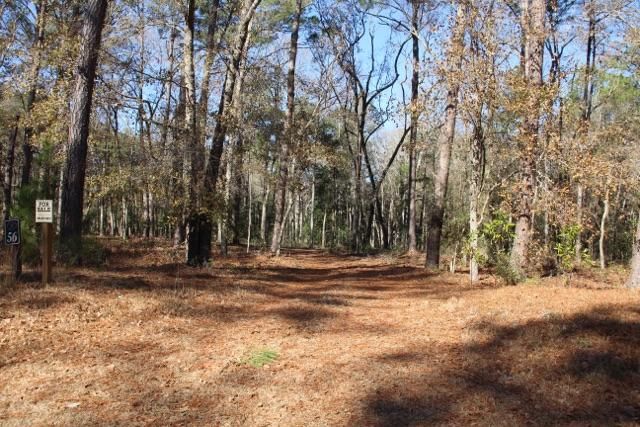 Lot 56 Pepper Grass Trl, Ravenel, SC 29470