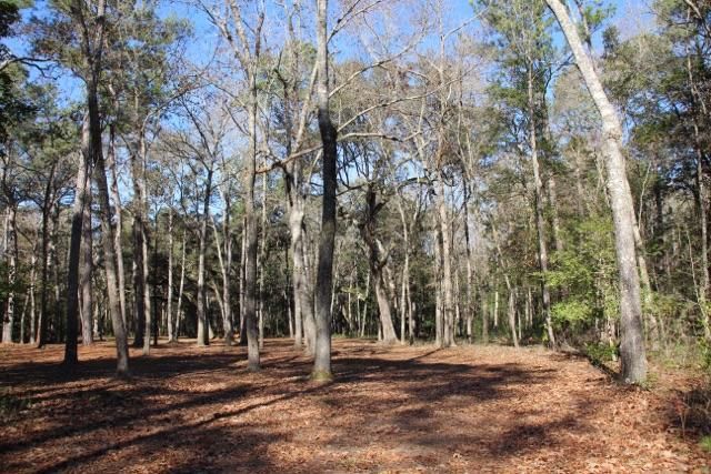 Lot 56 Pepper Grass Trl, Ravenel, SC 29470