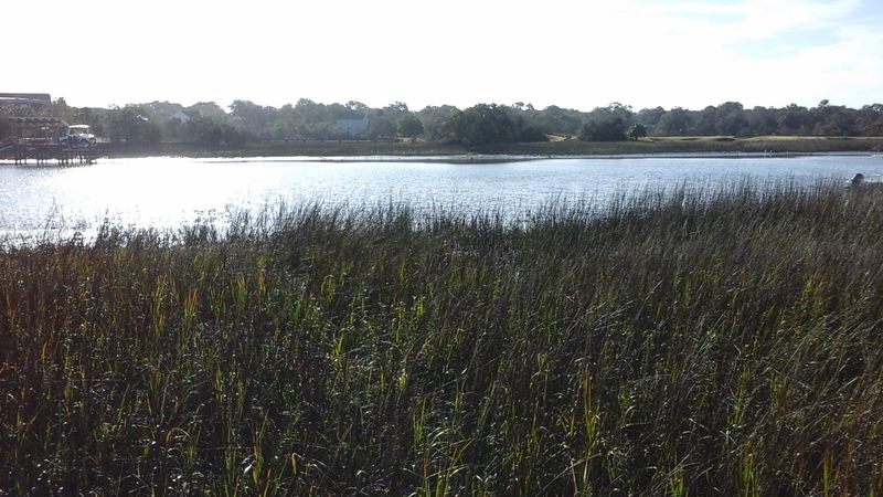 3401 Buccaneer Rd, Isle Of Palms, SC 29451