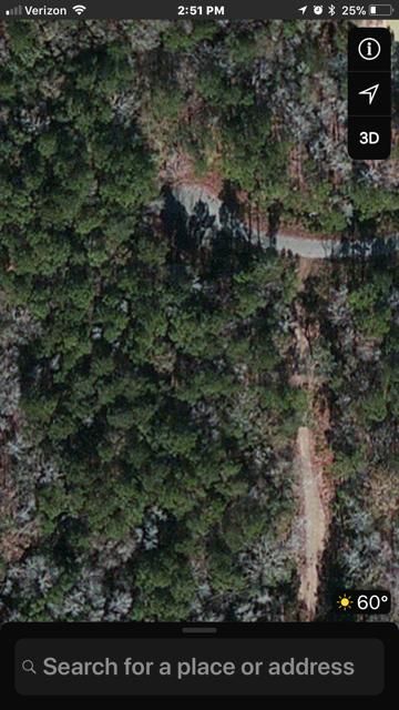 6341 Buttonbush Dr, Ravenel, SC 29470