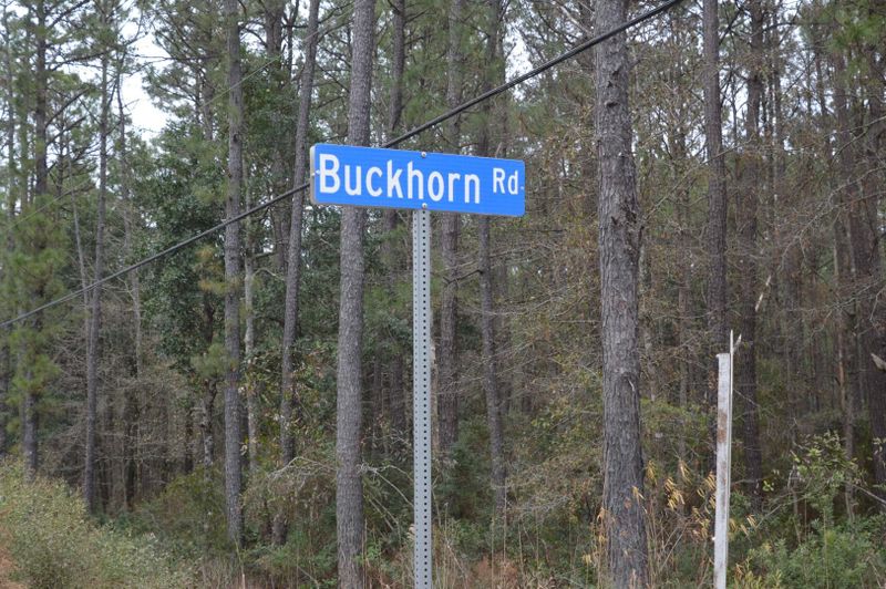 6963 Buckhorn Rd, Ravenel, SC 29470