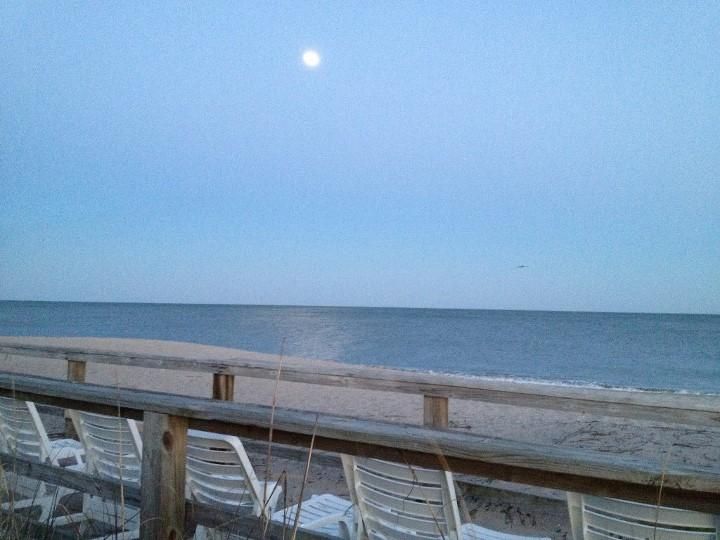 42 Pender Ln, Edisto Island, SC 29438
