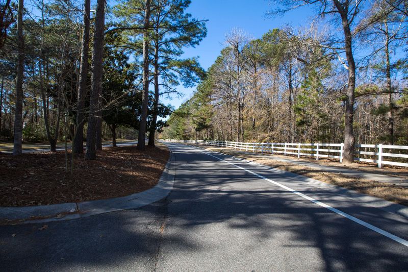 1434 Belcourt Ln, Mount Pleasant, SC 29464