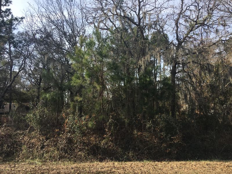 121 Dawsey Dr, Bonneau, SC 29431