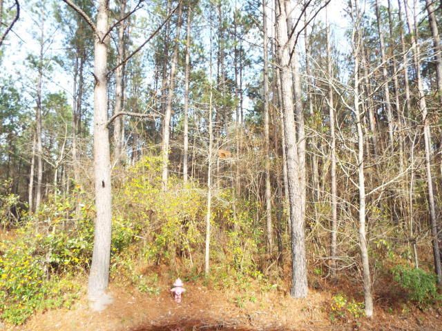 0 Hwy 176, Moncks Corner, SC 29461