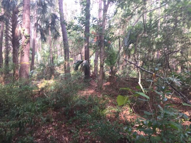 3257 Sand Marsh Ln, Mount Pleasant, SC 29466
