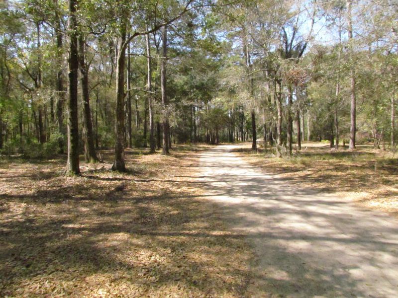 0 Palmetto Pointe Rd #7-3, Edisto Island, SC 29438