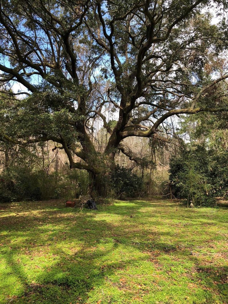 3326 River Rd, Johns Island, SC 29455