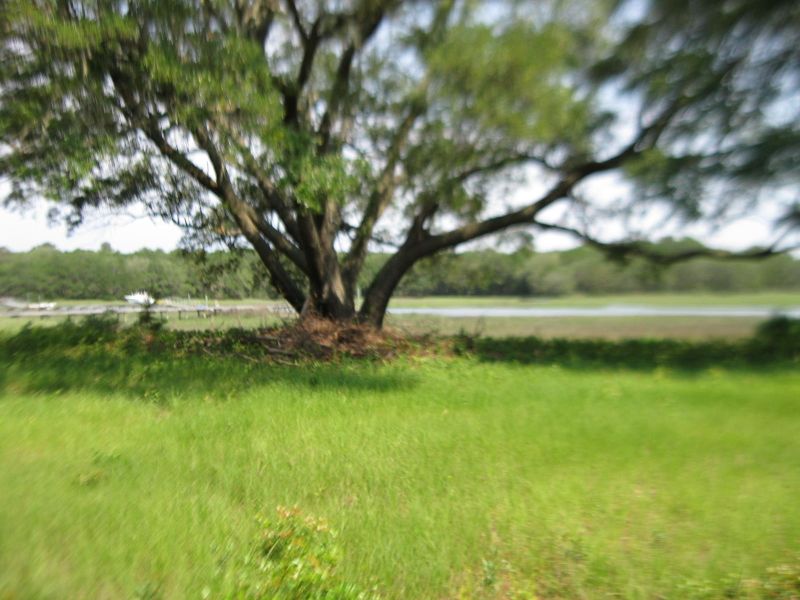 1679 Back Creek Rd, Charleston, SC 29412