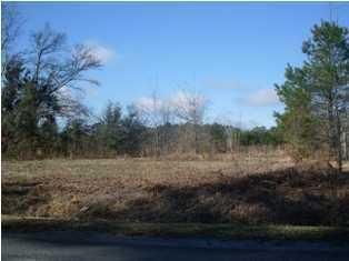 2174 Mendel Rivers Rd, Saint Stephen, SC 29479