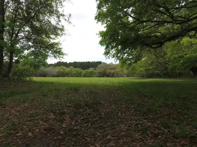 5972 Joseph Blake Ln, Wadmalaw Island, SC 29487