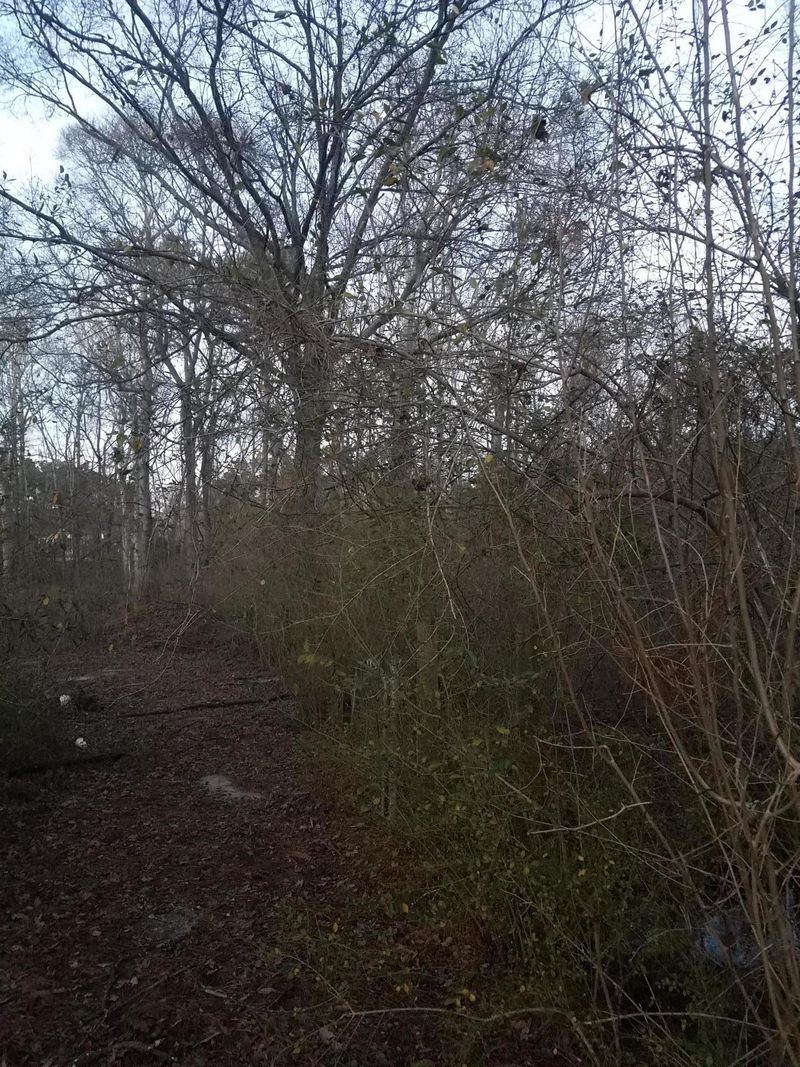 9130 Canvas Ln, Ladson, SC 29456