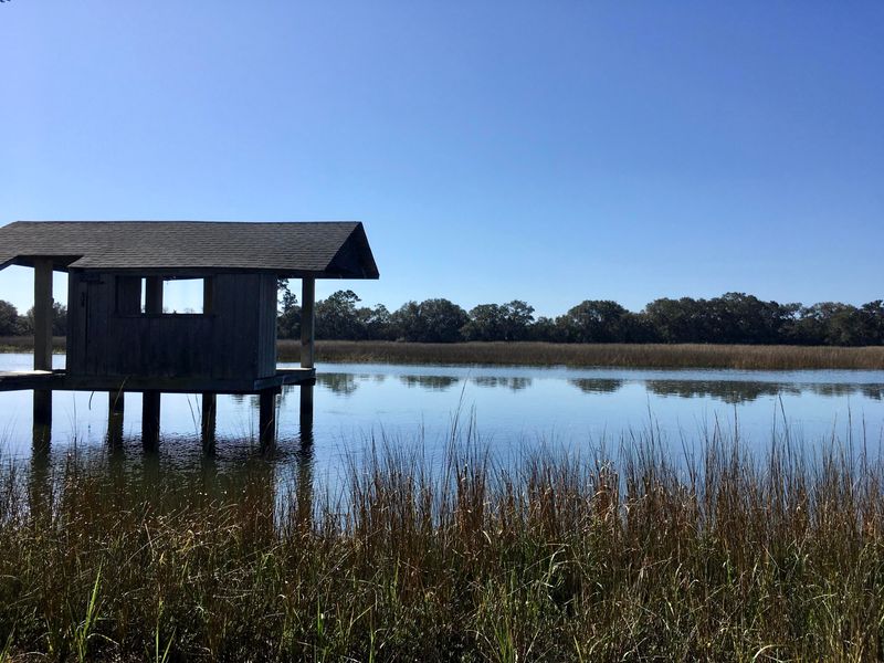 2421 Royal Oak Dr, Johns Island, SC 29455