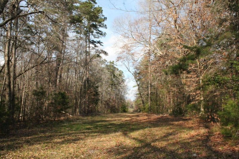 5020 Ashley River Rd #A, Summerville, SC 29485