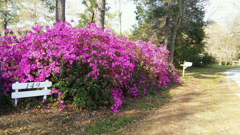 149 Walnut Heights Rd, Dorchester, SC 29437