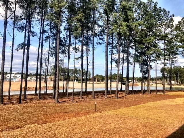 169 Calm Water Way, Summerville, SC 29486