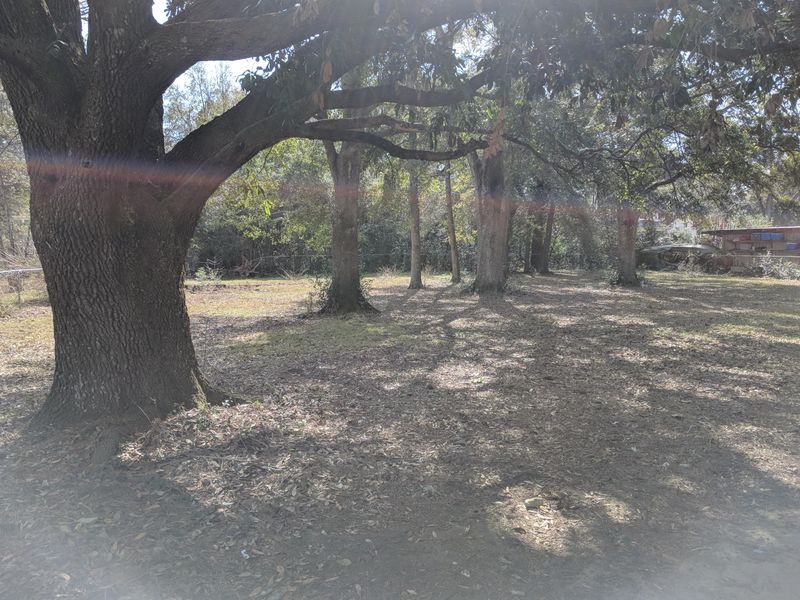315 6th Ave, Mount Pleasant, SC 29464