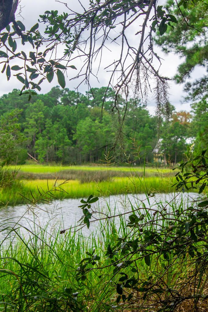 4556 Carriage House Way, Hollywood, SC 29470