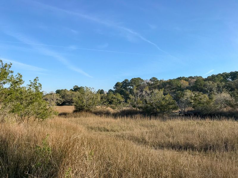1 Harts Bluff Rd, Wadmalaw Island, SC 29487