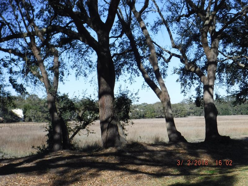 1402 Camp Rd #14h, Charleston, SC 29412