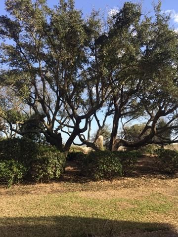 D-120 Shipwatch #120-D, Isle Of Palms, SC 29451