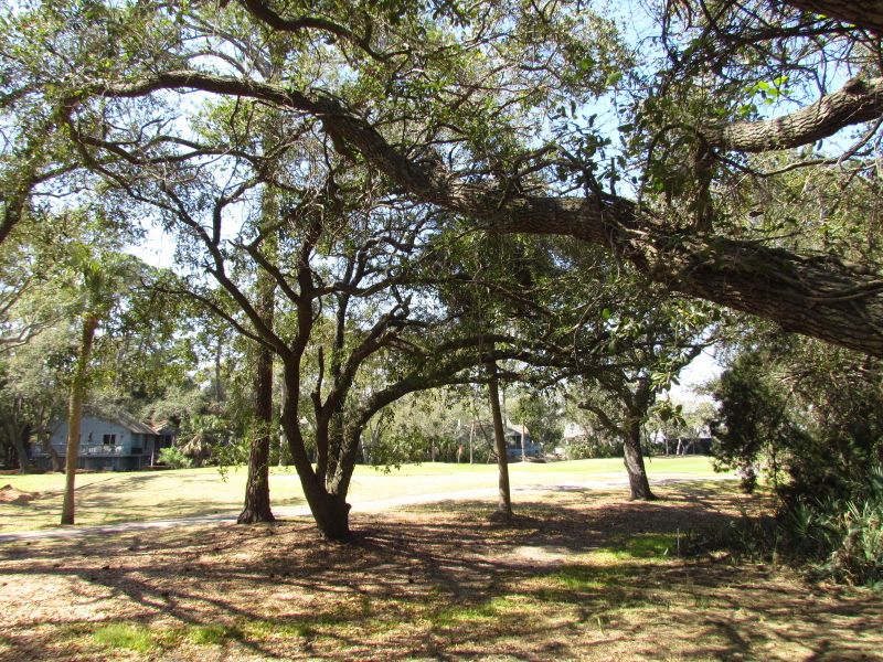 26 Battery Pk, Edisto Beach, SC 29438