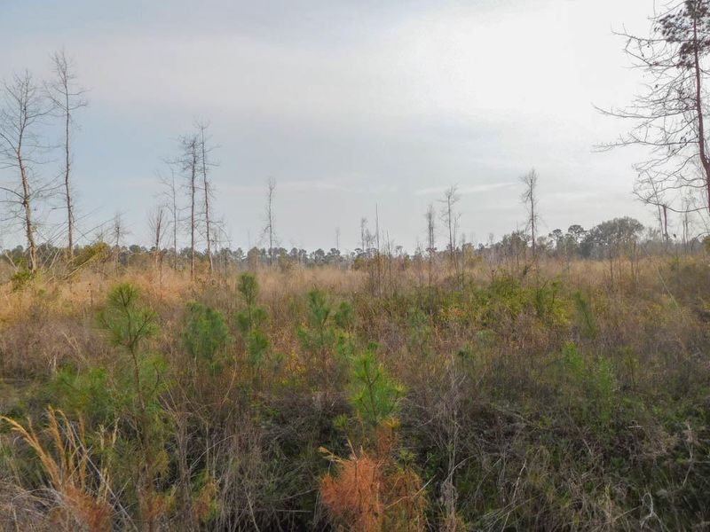 3515 Plowground Rd, Johns Island, SC 29455