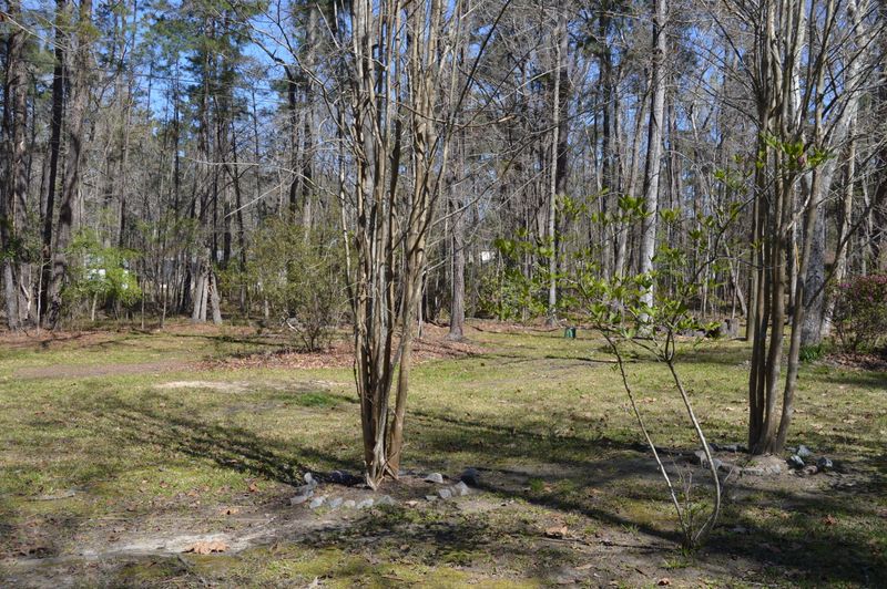 162 Sedgewick Rd, Summerville, SC 29483