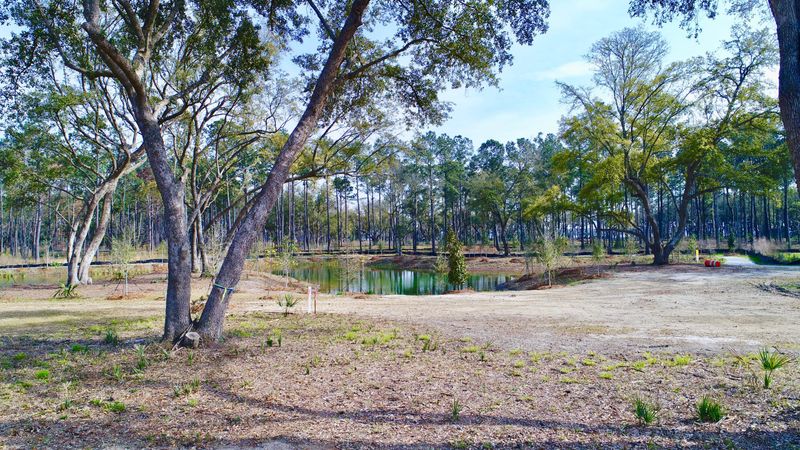 307 Bayley Rd, Daniel Island, SC 29492