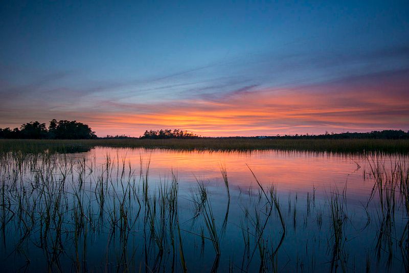 442 Fish Tale Rd, Charleston, SC 29492