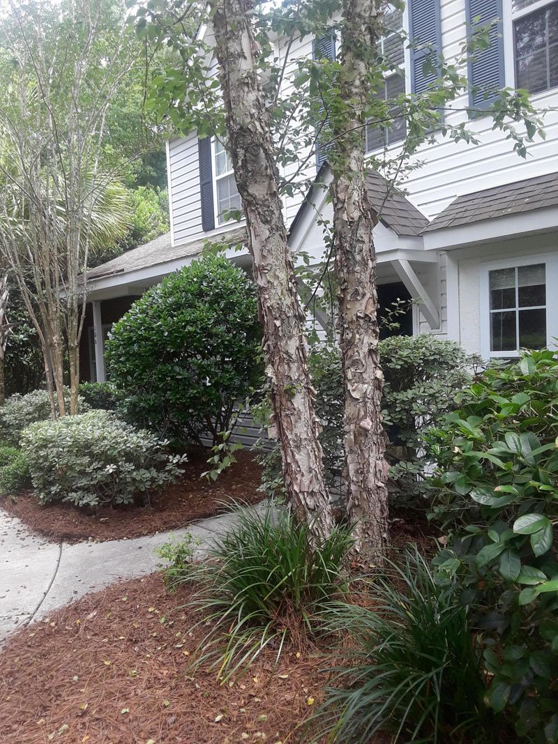 107 Taylor Cir, Goose Creek, SC 29445