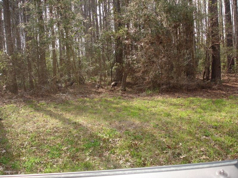 C-2 Delemar Hwy, Summerville, SC 29485