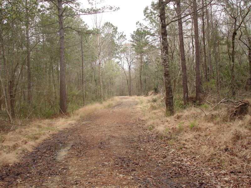 C-2 Delemar Hwy, Summerville, SC 29485